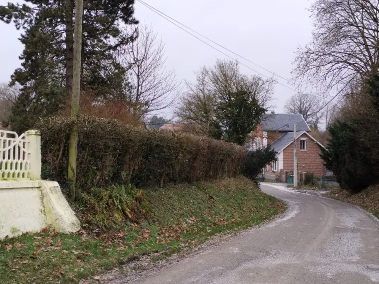 Taillage de haies chez un particulier à Hon-Hergie, Bavay, Le Jardin de Romain
