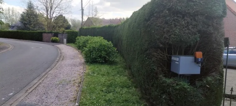 Taille de haies de plus de 100M Linéaire, Bavay, Le Jardin de Romain