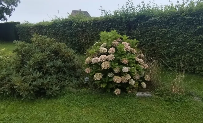 Désherbage des massifs à Bermeries , Bavay, Le Jardin de Romain
