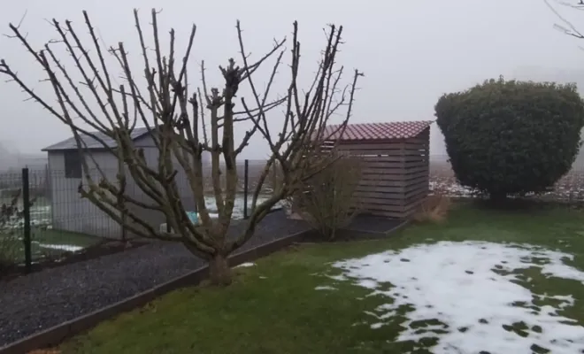 Abattage d'arbres sur Audignies, Bavay, Le Jardin de Romain