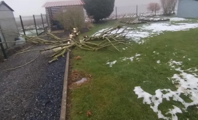 Abattage d'arbres sur Audignies, Bavay, Le Jardin de Romain