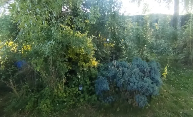 Mise en forme de massif sur Mecquignies , Bavay, Le Jardin de Romain