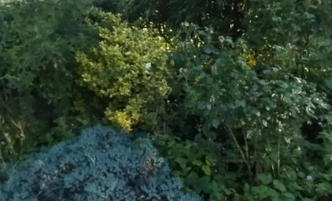 Mise en forme de massif sur Mecquignies , Bavay, Le Jardin de Romain