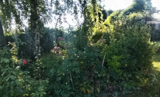 Mise en forme de massif sur Mecquignies , Bavay, Le Jardin de Romain