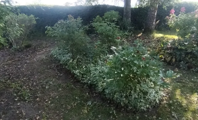 Mise en forme de massif sur Mecquignies , Bavay, Le Jardin de Romain