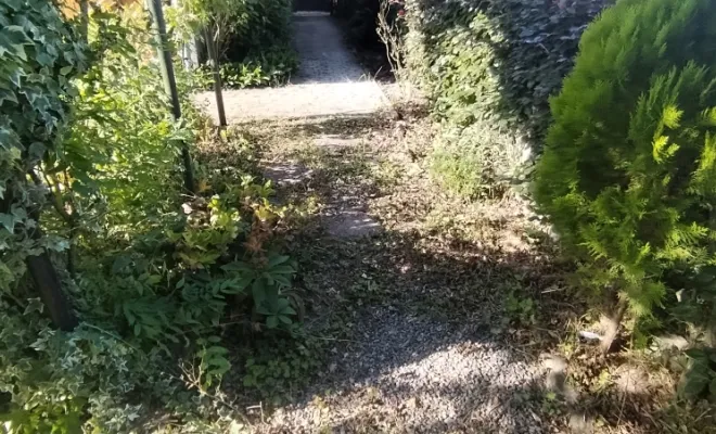 Mise en forme de massif sur Mecquignies , Bavay, Le Jardin de Romain